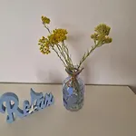 Appartamento Seaside Rosic